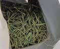卢正浩绿茶安吉白茶特级100g2026新茶明前茶叶纸包高山茶自己喝长辈送礼 实拍图