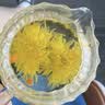 福东海  玫瑰花茶100g花草茶大朵【特优当季新货】平阴重瓣干 养生茶叶 实拍图