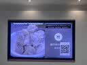 海信RGB-MiniLED电视E7S 85吋 4608分区玲珑真彩背光 信芯芯片 黑曜屏Pro艺术电视高刷能效补贴E7Q升级 实拍图