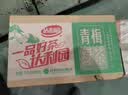 达利园青梅绿茶青梅果汁饮品果味茶饮料500ml*15瓶酸甜饮料整箱装 实拍图