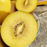 佳沛（zespri）新西兰金奇异果12粒特大果124-146g猕猴桃水果礼盒 实拍图