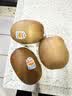 佳沛（zespri）新西兰金奇异果18粒超大原箱175-204g猕猴桃水果礼盒 实拍图