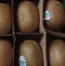 佳沛（zespri）绿奇异果10个装 宝宝果单果约80-89g 水果猕猴桃包邮 实拍图