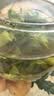 贡苑小叶苦丁茶250g 特级2026新茶嫩芽四川峨眉山明前头采茶叶 实拍图