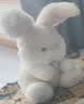 澳贝（auby）婴幼儿玩具宝宝早教唱跳躲猫猫安抚小兔毛绒玩偶生日新生儿见面礼 实拍图