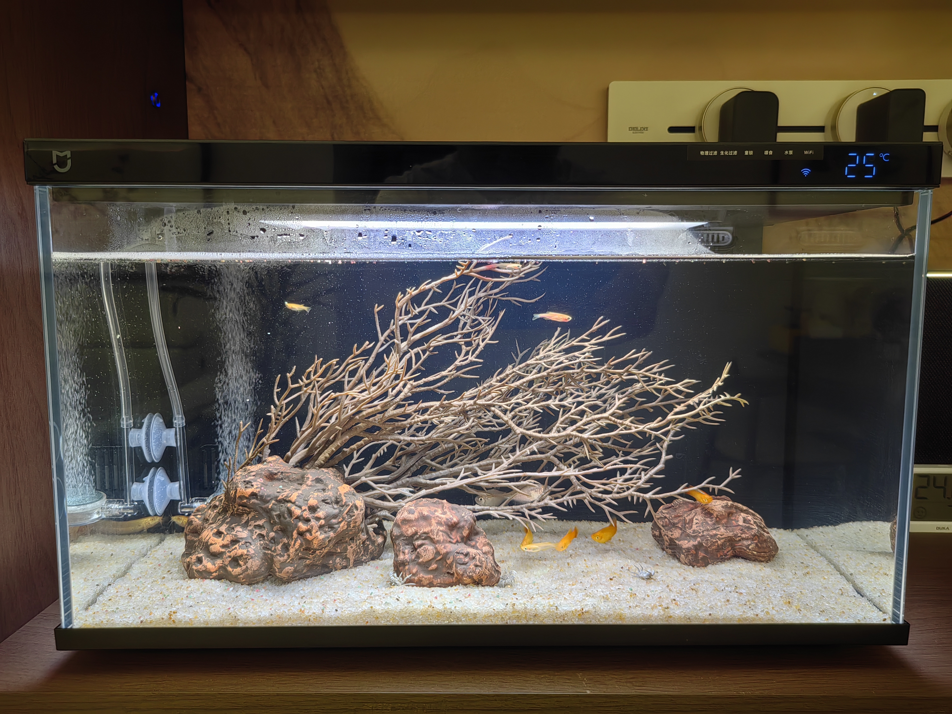 米家小米智能鱼缸 一体整机免装语音遥控半年免换水APP定时喂食水族箱 米家智能鱼缸 半年免换水 实拍图