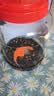 正林3A黑瓜子1500g/桶五香坚果罐装礼桶（新老包装随机发货） 实拍图