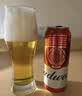 百威经典红罐啤酒552ml*12罐整箱装国庆出行 实拍图
