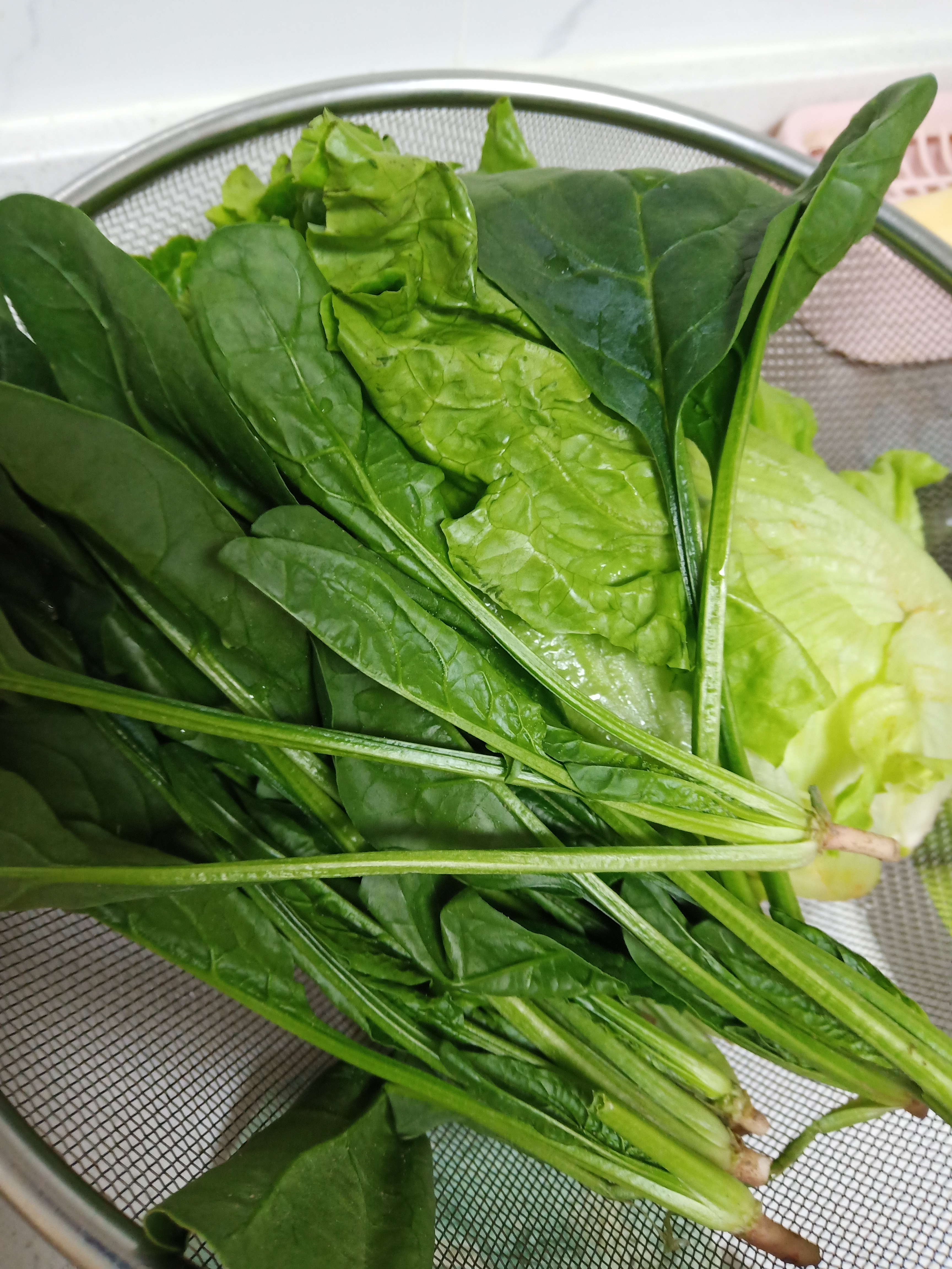 【24小时菜】菠菜苗250g(长度≤20cm) 实拍图