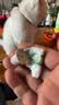 科田 华佗膏 20克/支 杀菌止痒。用于癣症湿气，脚趾痒，鹅掌风。 实拍图