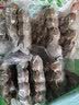 潮夫道银选牛肉丸250g*5+牛筋丸250g*5共5斤潮汕手打火锅食材麻辣烫烧烤 实拍图