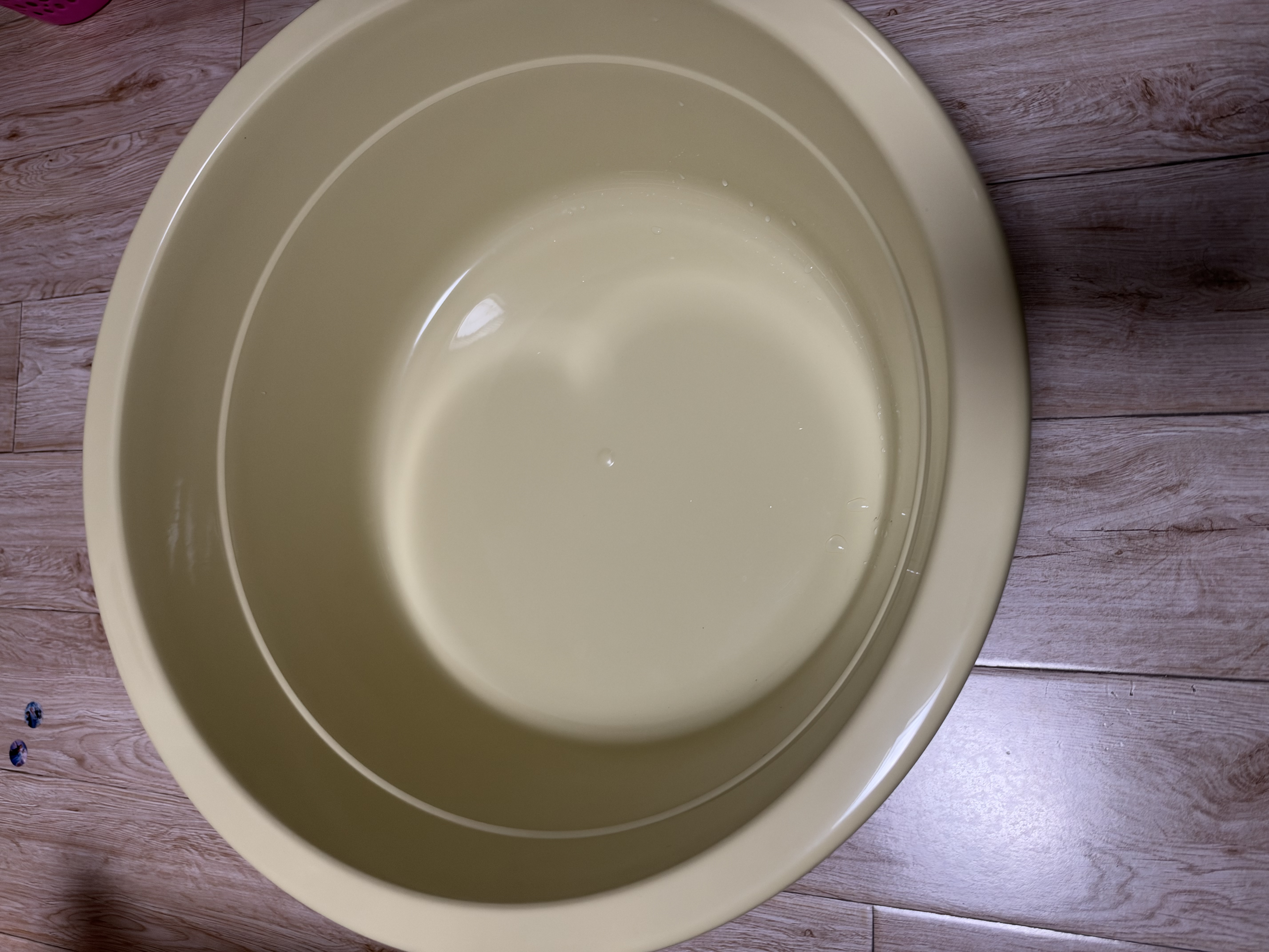 妙然特大号54CM澡盆洗脸盆塑料洗澡盆家用宠物学生洗衣脸盆洗墩布盆 实拍图