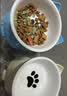 憨憨乐园猫碗陶瓷猫粮双碗斜口狗碗狗盆狗粮宠物幼猫咪吃饭食盆喝水喂食 实拍图