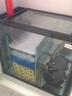 森森（SUNSUN）热弯鱼缸水族箱底过滤高清玻璃金鱼缸含灯过滤器 0.5米长30cm宽53.5cm缸高 底滤白色 实拍图