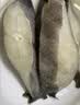 海名威 冷冻格陵兰比目鱼400g 4-5片 鲽鱼 深海鱼 生鲜鱼类 海鲜水产 实拍图