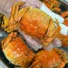 【活蟹】蟹宗鲜活大闸蟹公4.5-4.8两母4.0-4.3两4对8只生鲜螃蟹海鲜节日礼品源头直发 实拍图