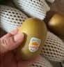 佳沛（zespri）新西兰 金奇异果特大果15粒134-146g猕猴桃水果礼盒 实拍图