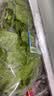 散叶生菜约400g 实拍图