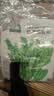 北蔬 豌豆尖种子苗芽苗菜秋冬四季吃苗蔬菜籽 北蔬鲜嫩豌豆尖种子200g 实拍图
