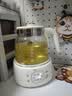 小熊（Bear）全玻璃养生壶0胶水 恒温烧水壶 办公室轻音煮茶壶花茶壶 2026新款家用热水壶1升煮水壶 YSH-J10H5 实拍图