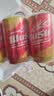 乌苏啤酒（wusu）大红乌苏330mL*24罐 整箱装 烈性啤酒 聚会宴请京东自营 实拍图