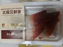 冰鲜北极贝刺身60g 实拍图