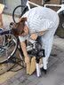 永久（FOREVER）山地车自行车 10-18岁学生变速户外消光灰24寸适合身高150-170cm 实拍图