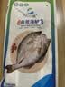 仙泉湖三去白蕉海鲈鱼1斤/条净膛刺少肉厚珠海特产500g海鲜水产生鲜食材 实拍图