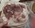 双汇猪里脊肉2斤冷冻生鲜猪肉猪柳肉猪里脊炒菜小酥肉烧烤 实拍图