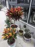 芷郁绿植盆栽托盘垫接水圆形防烂根树脂花盆托底座托盘 特厚210型3个 实拍图