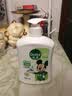 滴露（Dettol）洗手液抑菌滋润茉莉绿茶500g 儿童洗手液消毒 滋润护手米奇米妮版 实拍图