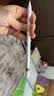 Apple/苹果 Pencil Pro 磁吸触控笔手写笔苹果笔电容笔书写绘画iPad笔 适用于iPad Pro/Air/mini机型 实拍图