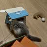 CFA赛级逗猫棒猫咪玩具长杆羽毛替换头耐抓咬猫玩具用品自嗨解闷 CFA赛级长杆逗猫棒-木杆弹簧款 实拍图