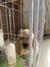 贝初众狗围栏室内宠物围栏狗笼子狗栅栏狗笼小中大型犬猫围栏狗笼折叠 120*60*60cm【适合中小型犬】 【6片】自由拼接组合围栏 加粗加密框架/无惧啃咬 实拍图