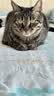 皇家猫粮 成猫猫粮 营养均衡 F32 通用粮 1-7岁 4.5kg*2 实拍图