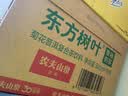 农夫山泉东方树叶菊花普洱500ml*15瓶无糖茶饮料0糖0脂0卡饮品整箱装 实拍图