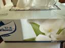 舒洁（Kleenex）抽纸马蹄莲盒装纸抽2层200抽*3盒纸巾抽纸卫生纸餐巾纸擦手纸 实拍图