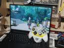 飞智冰原狼4 明日方舟：终末地 联名款游戏手柄礼盒【联名款手柄+定制底座+定制摇杆帽+定制贴纸】 实拍图