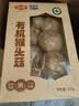 金唐有机猴头菇150g 山珍菌菇干货炖汤煲汤火锅食材 实拍图