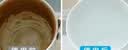 净安（Cleafe）茶垢清洁剂茶渍咖啡渍清除剂保温杯茶壶茶垢去渍剂230g*2瓶 实拍图