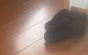 京东京造【专业防滑】eva洞洞鞋夏季包头凉鞋沙滩溯溪凉拖男黑色44-45 实拍图