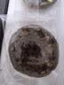 Arale全麦果仁车轮面包4种混合1kg/箱 无蔗糖2斤吐司 粗粮 健身代餐 实拍图