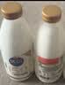 光明 致优 4.0娟姗牛鲜牛奶 800ml*1瓶  家庭装鲜奶 低温奶 定期购 实拍图