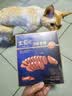 王家渡低温香肠正宗四川特产麻辣香肠350g猪肉腊肠腊味肉肠下酒菜 实拍图