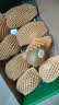 佳沛（zespri）新西兰金奇异果8粒特大果124-146g猕猴桃水果礼盒 实拍图
