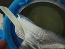 美赞臣学优力儿童成长奶粉5段6-14岁 700g*1罐 开学必备【50倍DHA补脑】 实拍图