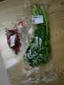 【火锅季】带根香菜100g 实拍图