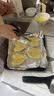 展艺原汁椰蓉500g 椰丝奶酥椰浆椰奶冻糕点烘焙原料斑斓椰丝蛋黄月饼 实拍图