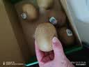 佳沛（zespri）新西兰阳光金奇异果6粒装88-103g猕猴桃水果水果礼盒 实拍图