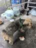 普安特宠物狗狗驱虫药犬体内外同驱跳蚤犬虱非泼罗尼爱滴克+内驱 实拍图